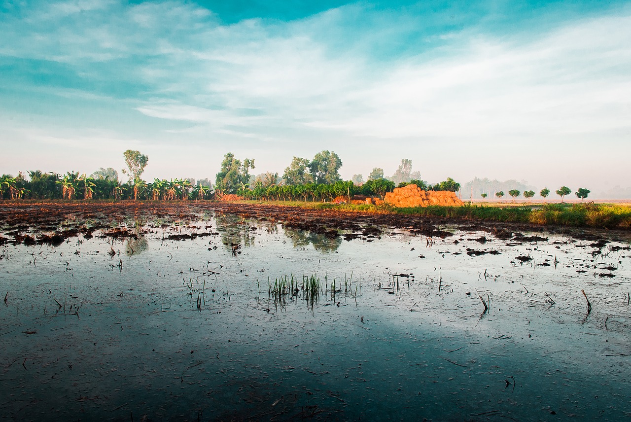 sky  scenery  country scene free photo