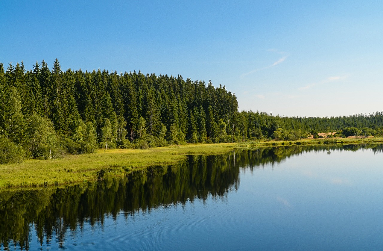 sky forest lake free photo