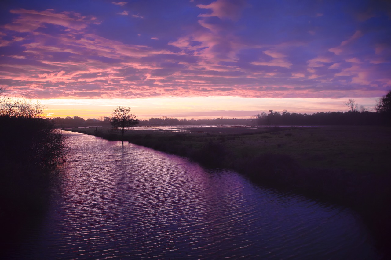 sky  sunset  purple free photo