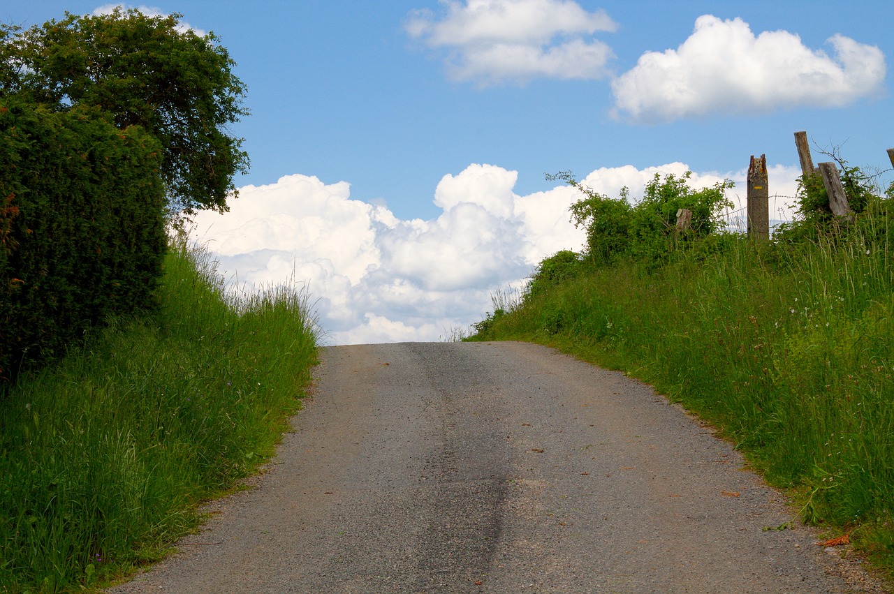 sky  path  landscape free photo