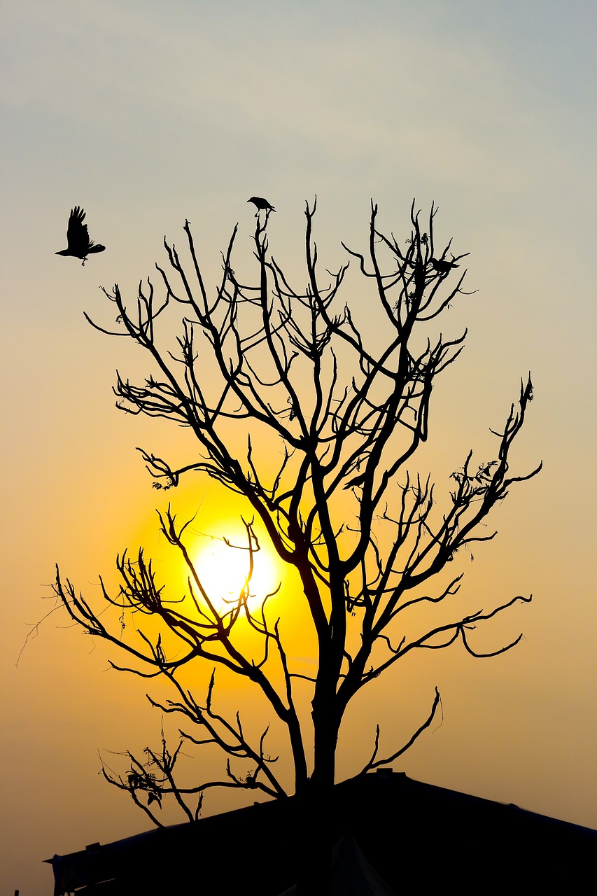 sky  seascape  skyline free photo