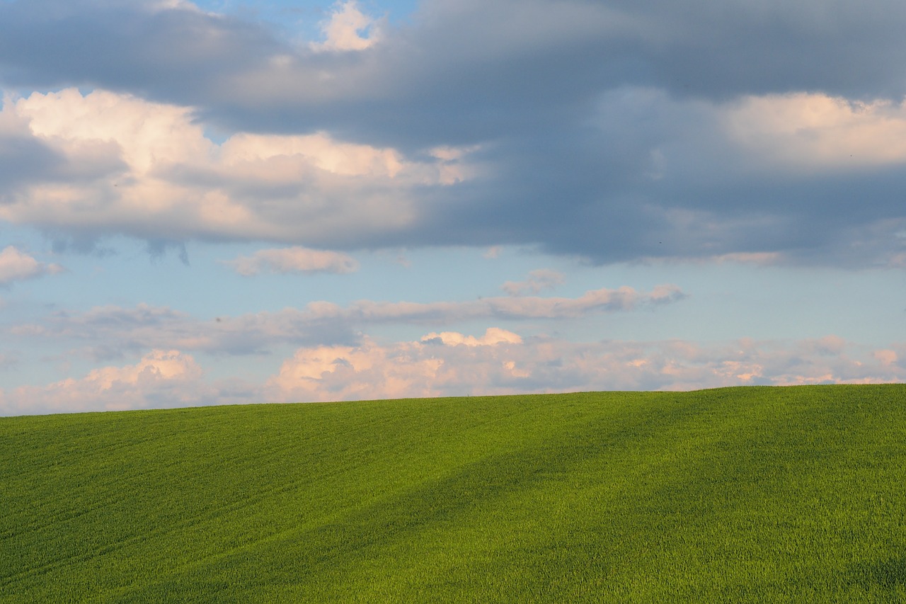 sky grass chmuru free photo