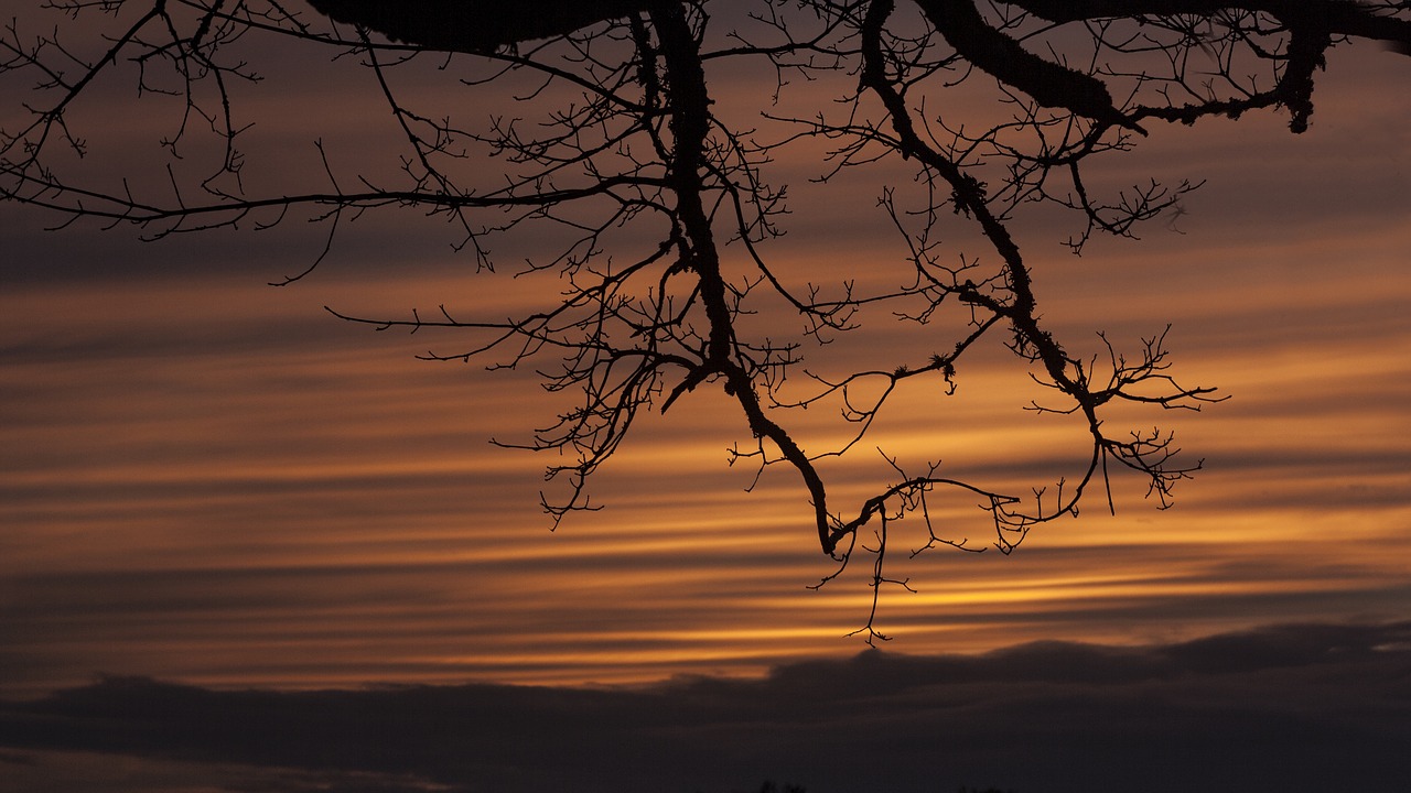 sky  sunset  colors free photo