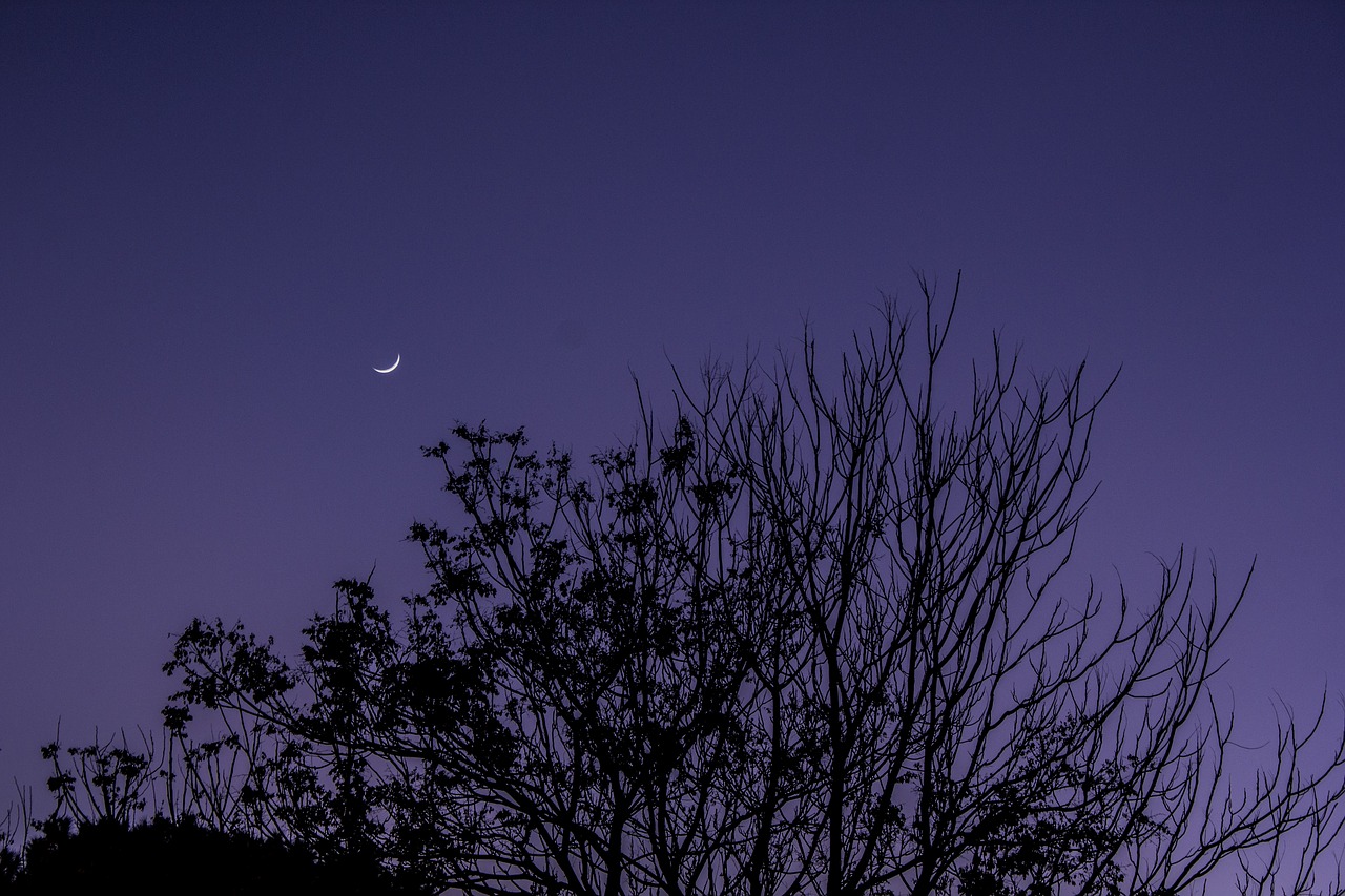 sky  moon  crescent free photo
