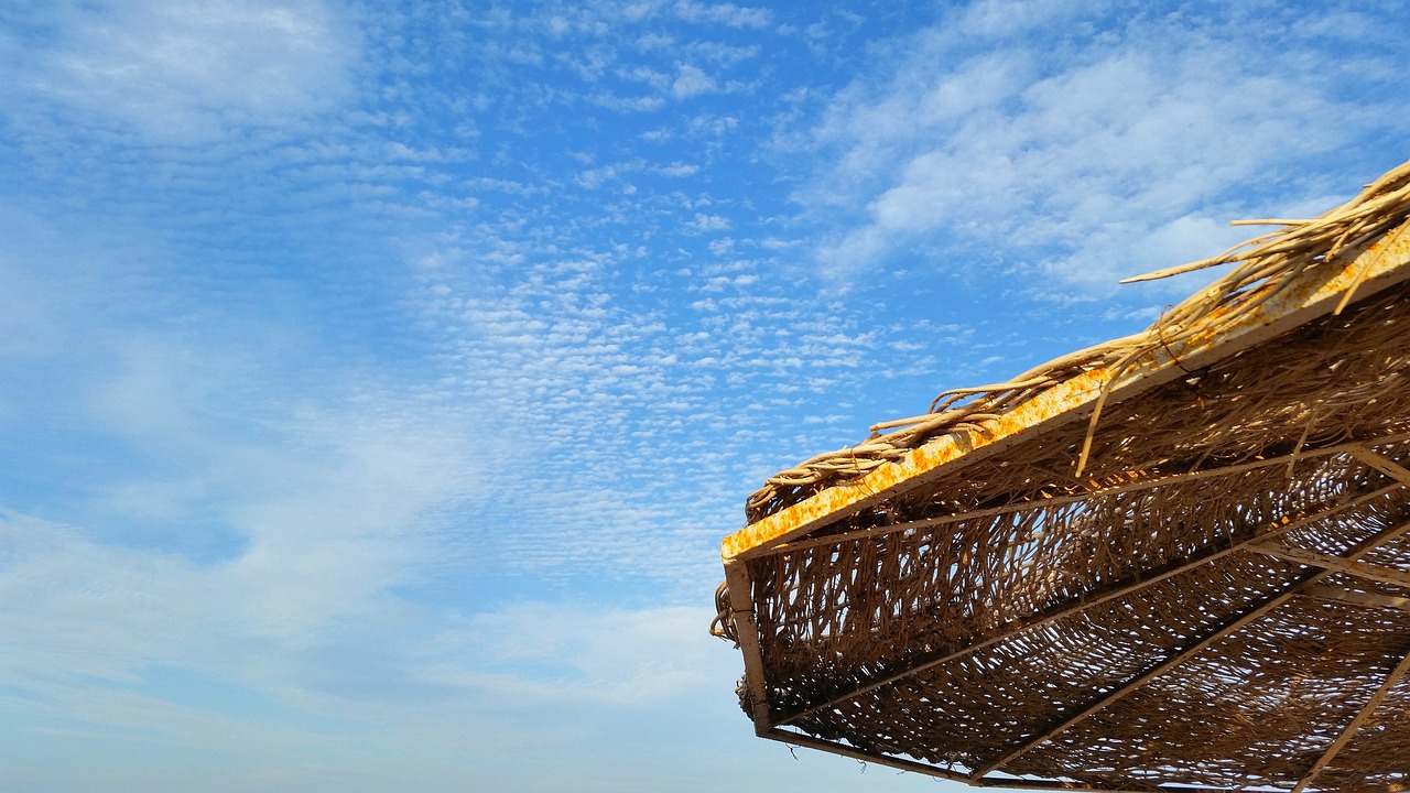 sky  parasol  beach free photo