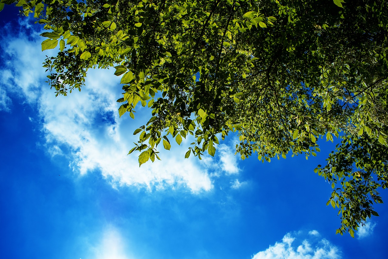 sky  clouds  nature free photo