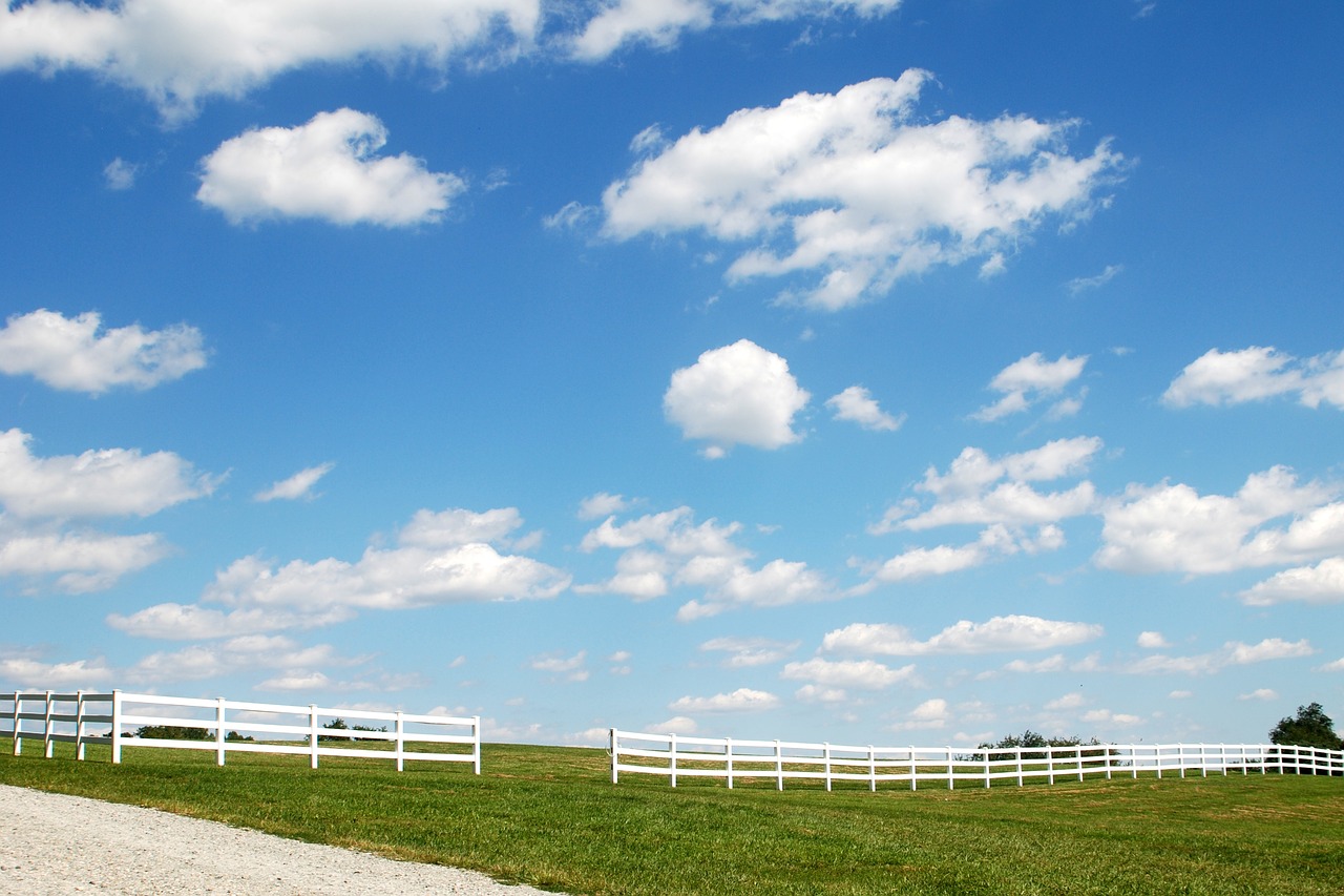 sky  clouds  grass free photo