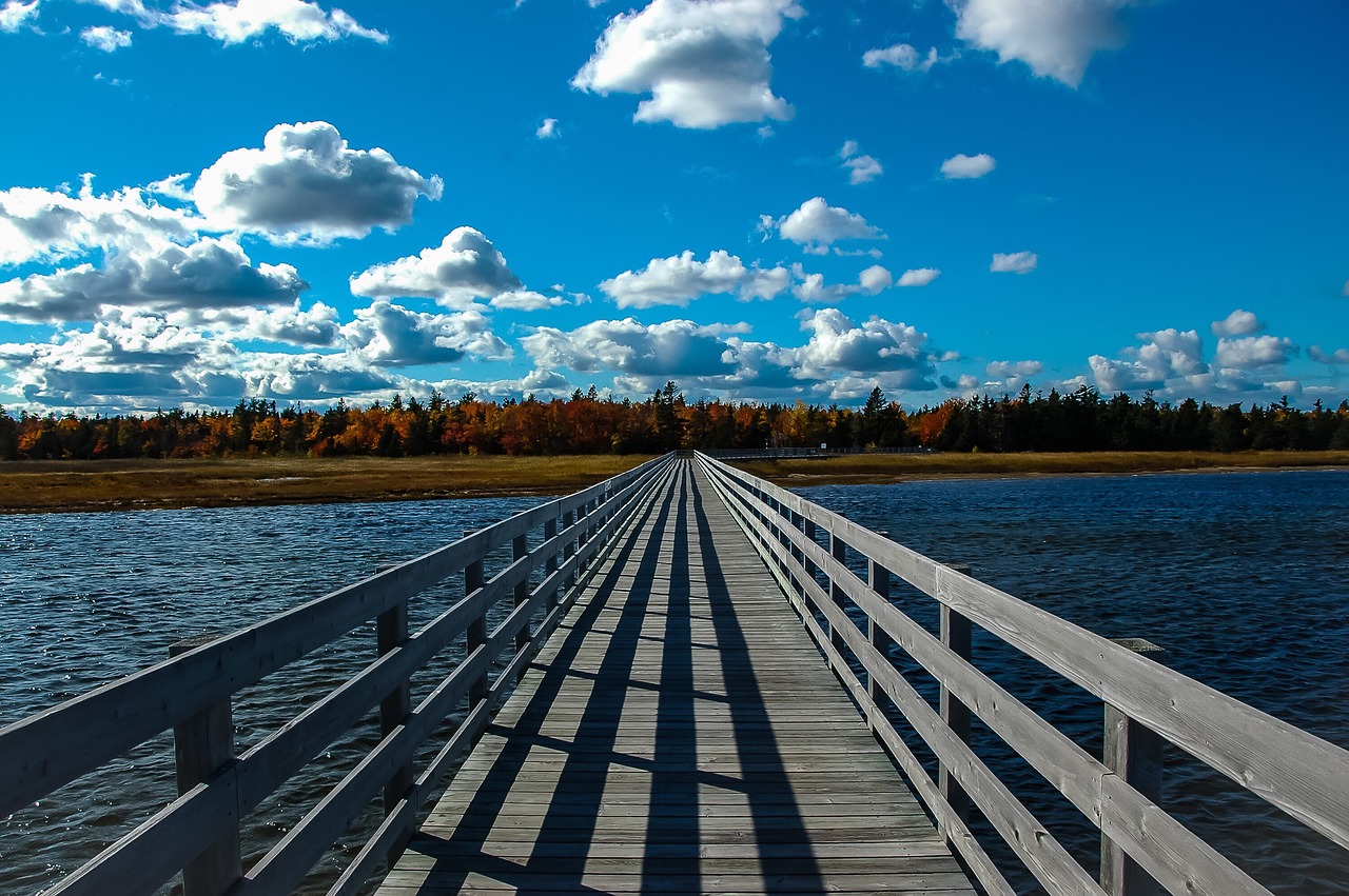 sky  fall  nature free photo