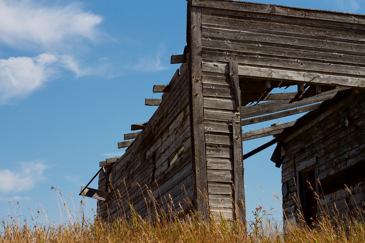 sky  wooden  landscape free photo