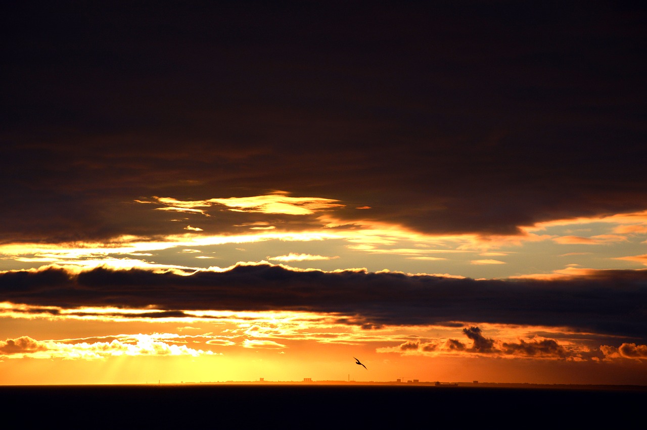 sky  sunset  clouds free photo