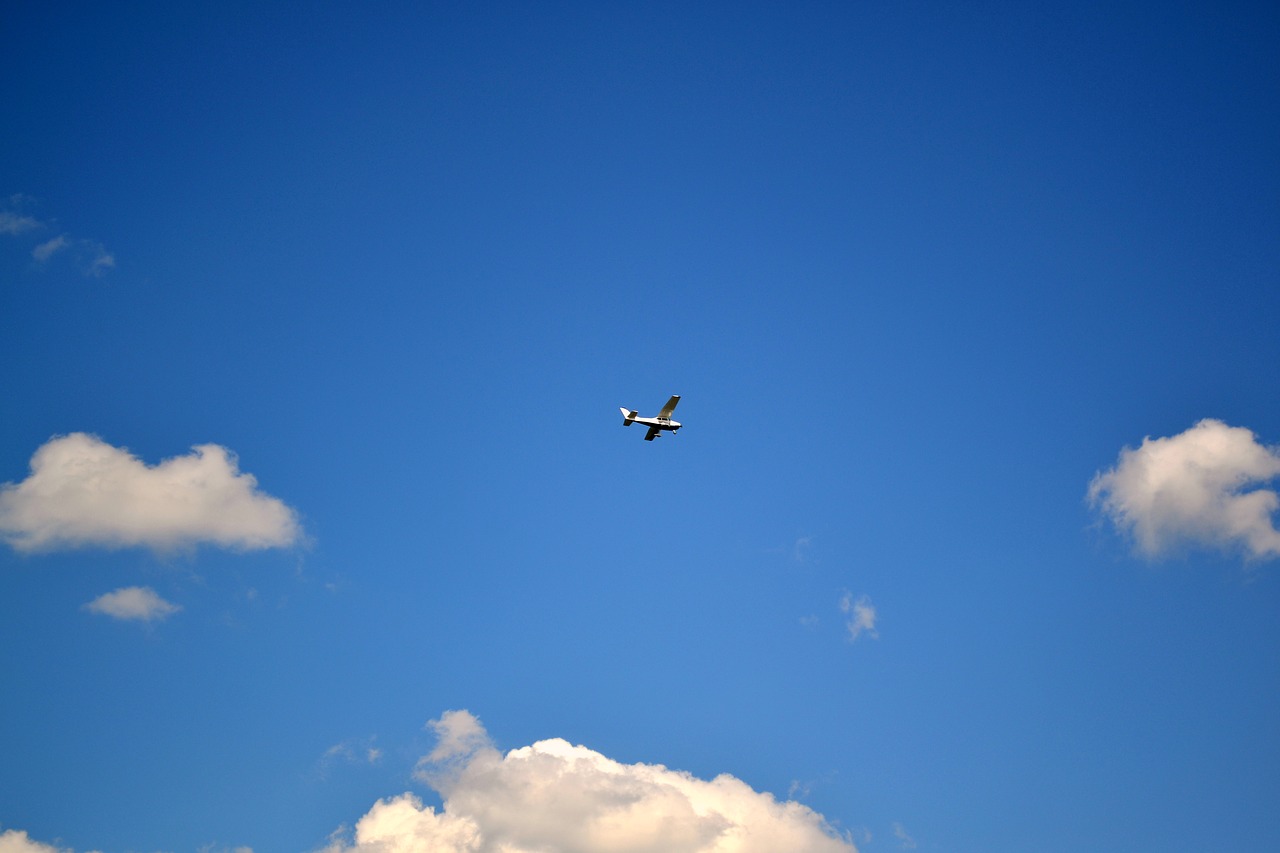 sky  the plane  aviation free photo