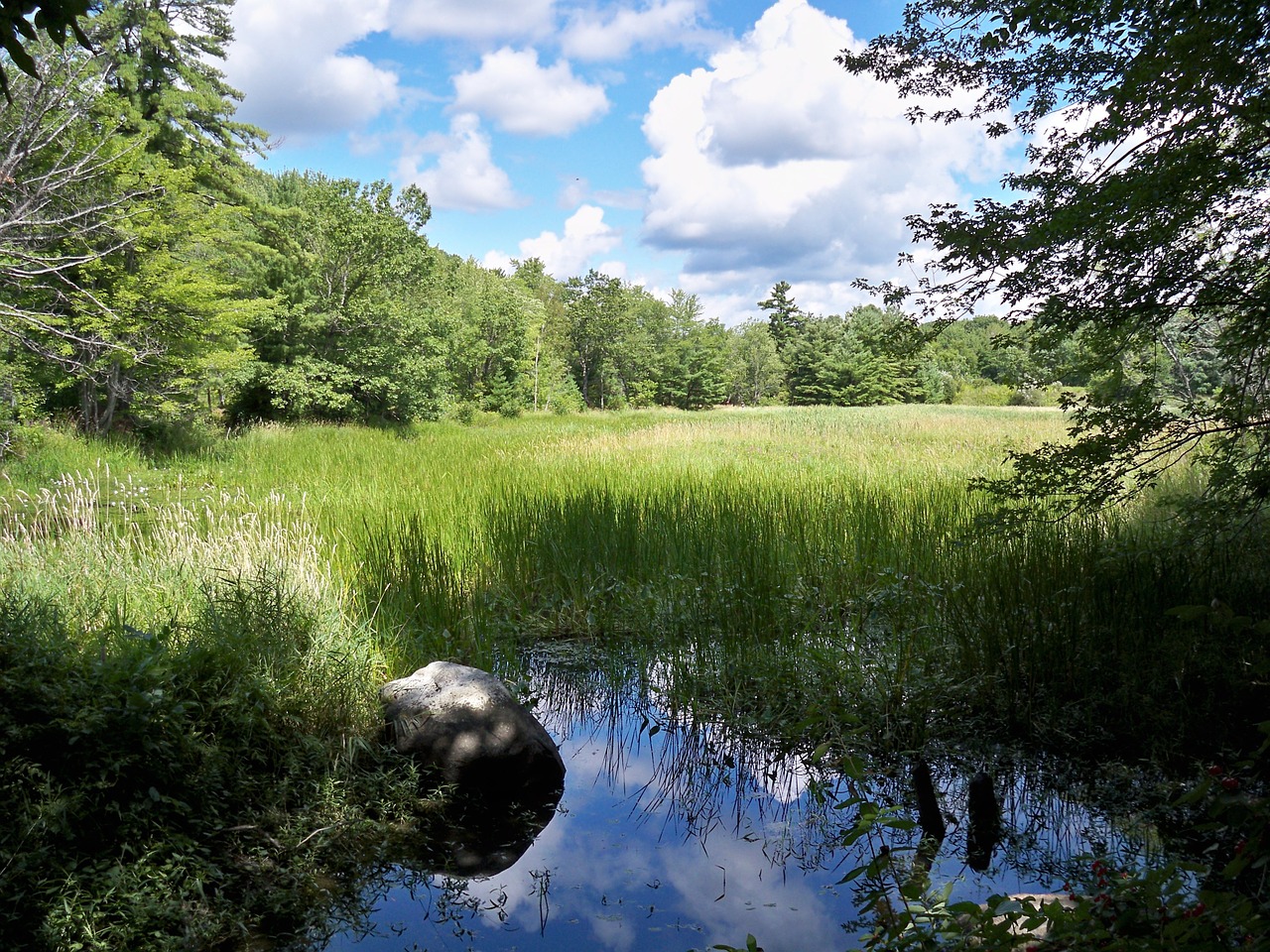 sky water reflection free photo