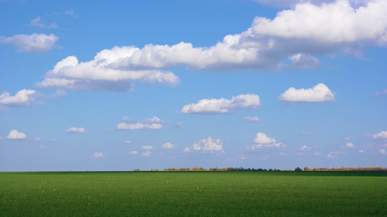 sky  field  winter free photo