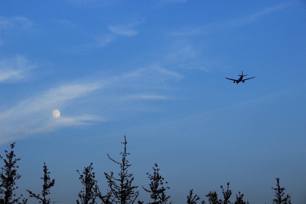 sky  aircraft  moon free photo