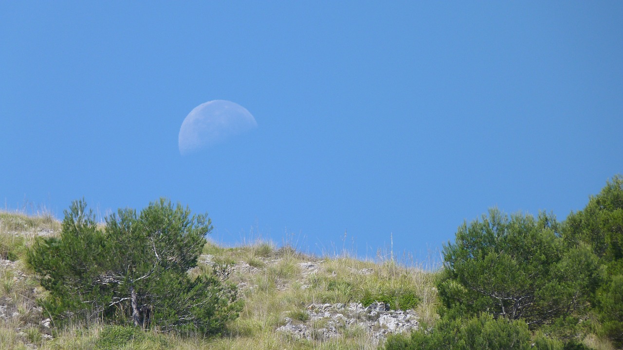 sky moon day free photo