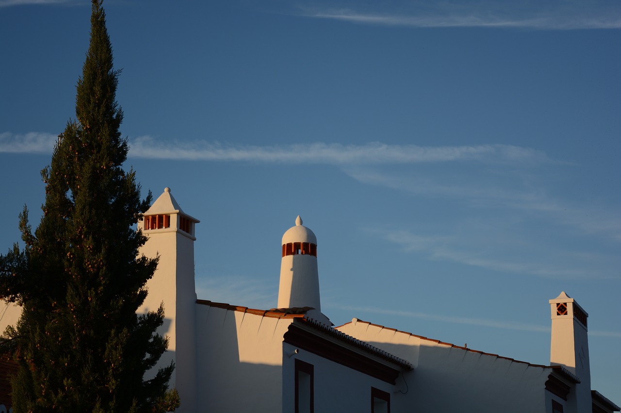 sky  landscape  tree free photo