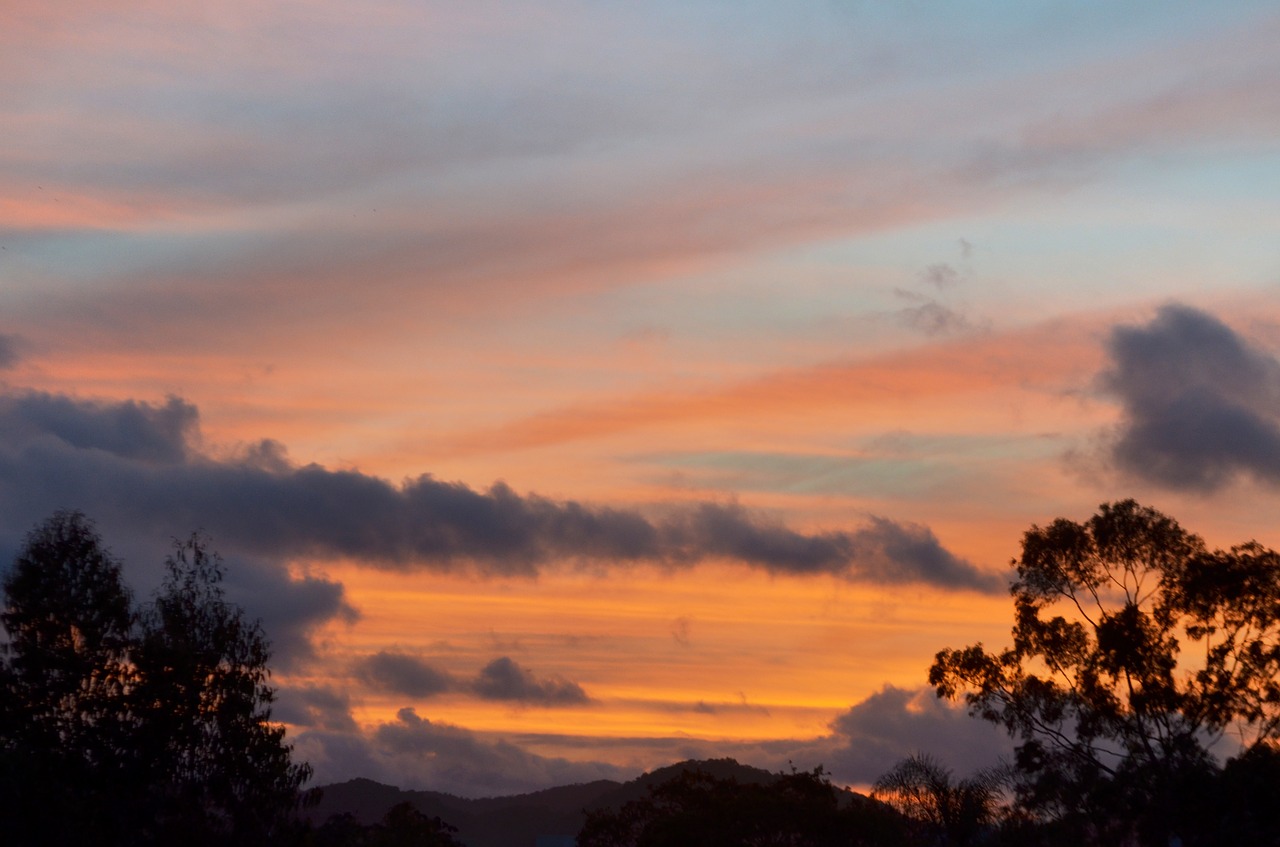 sky  golden hour  orange gradient free photo