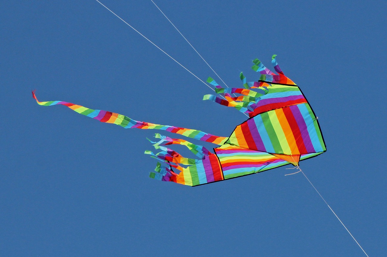 sky  dragons  flying kites free photo