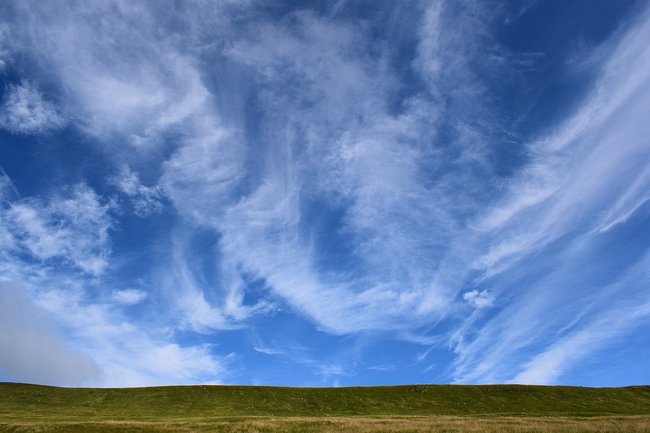 sky  nature  freedom free photo