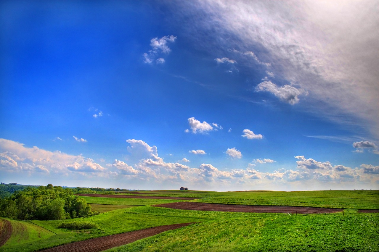 sky  clouds  summer free photo