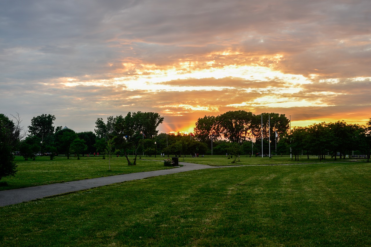 sky  centralpark  meadow free photo