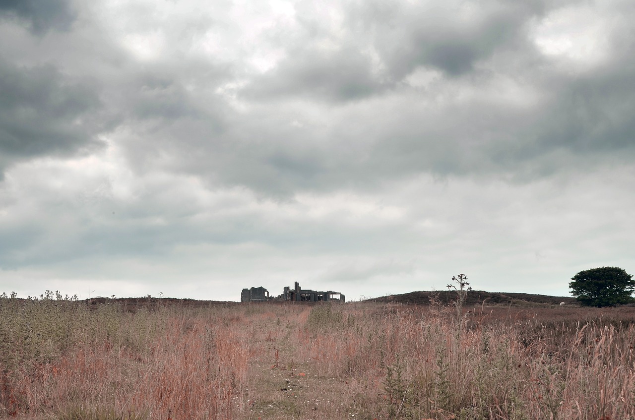 sky landscape grass free photo