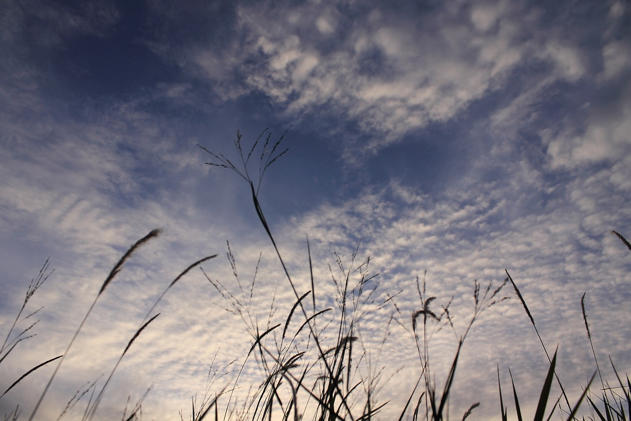 sky  landscape  nature free photo