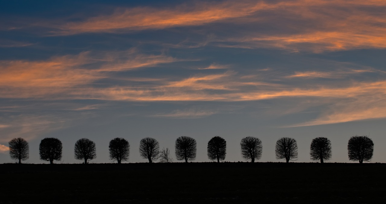 sky  nature  sunset free photo