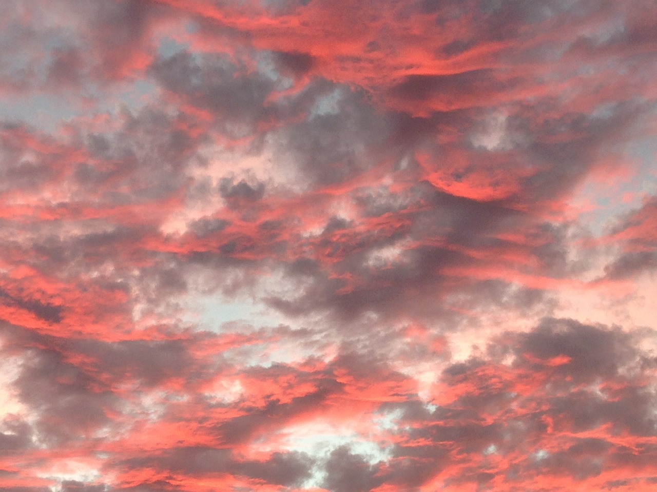 sky pink clouds free photo