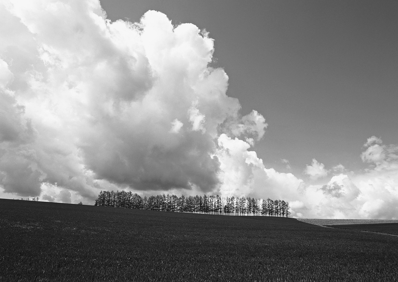 sky white cloud black and white free photo