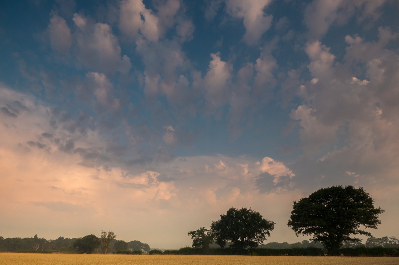 sky  dramatic  clouds free photo