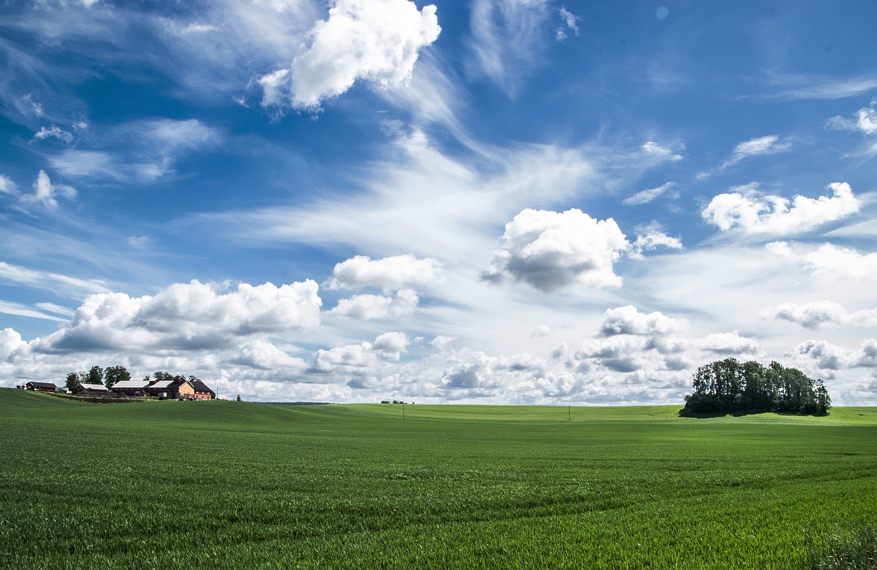 sky  blue  heaven free photo