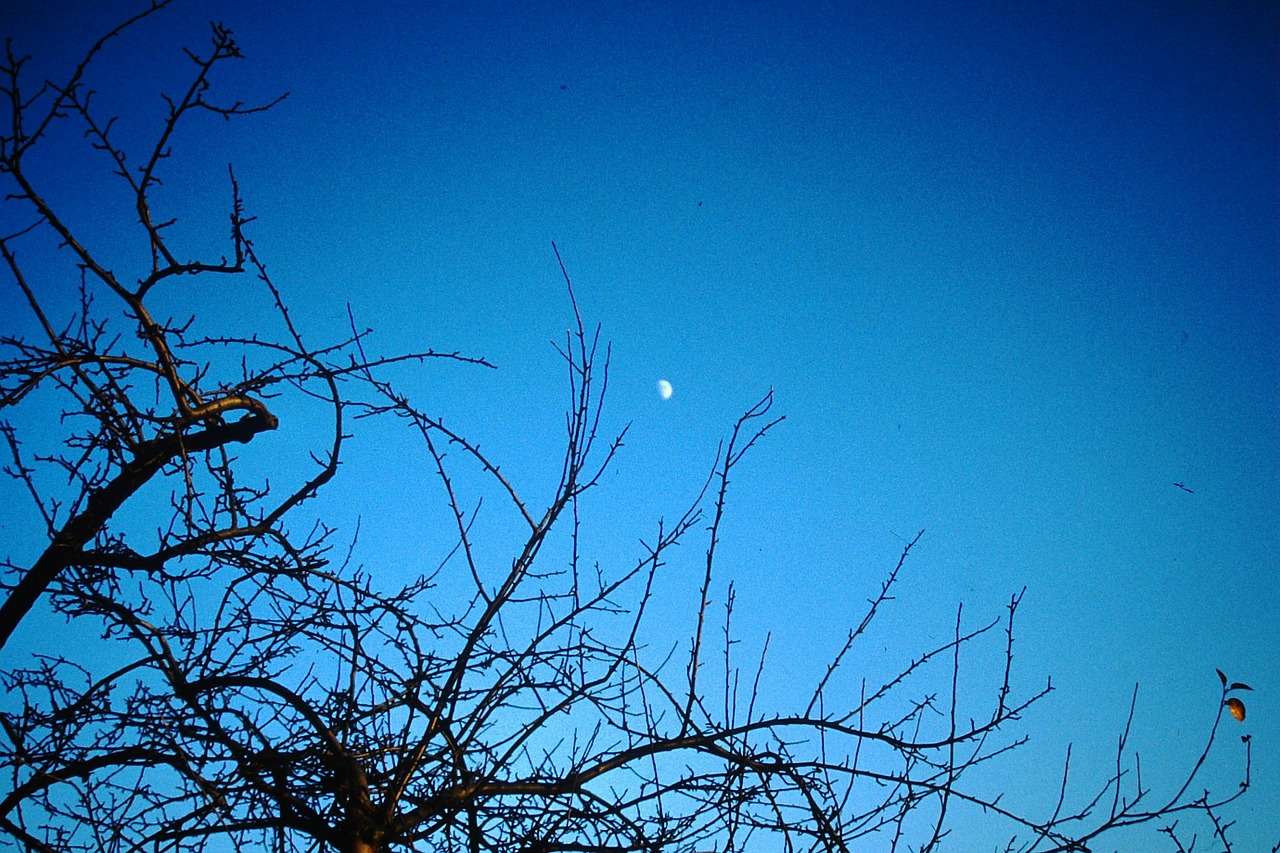 sky moon night sky free photo
