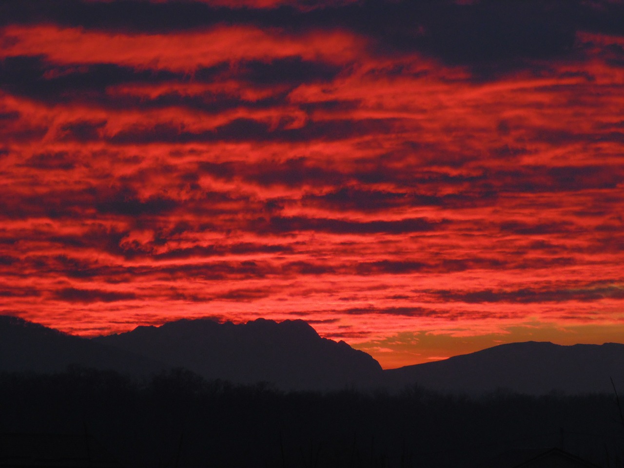 sky red beauty free photo