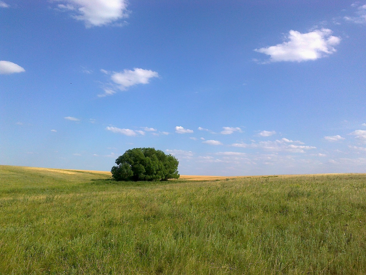 sky nature clouds free photo