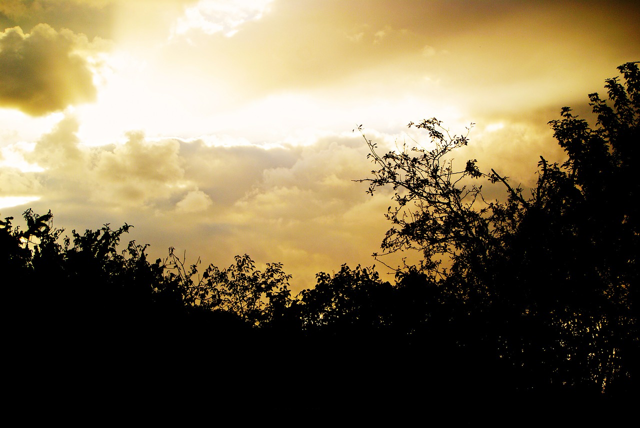 sky contrast nature free photo