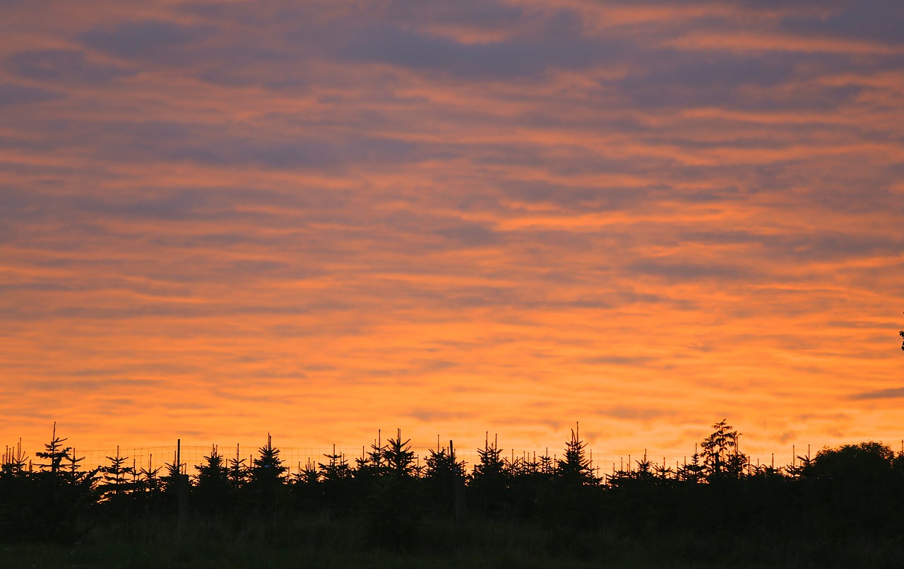 sky himmel cloud free photo