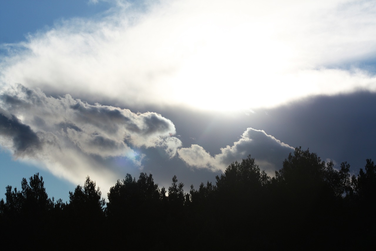 sky clouds trees free photo