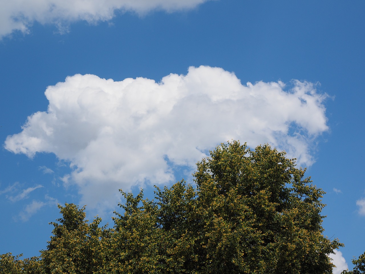 sky cloud blue free photo