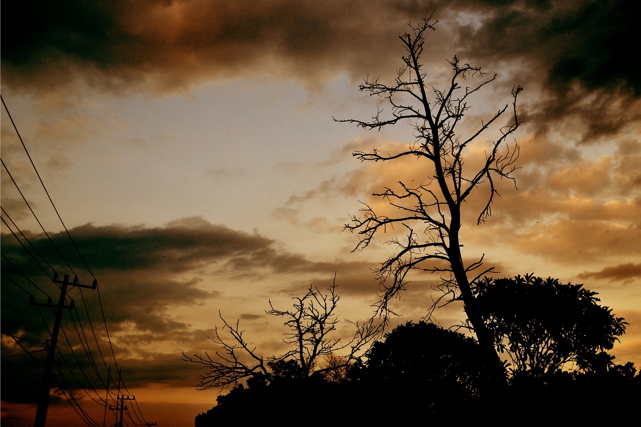 sky cloud dark free photo