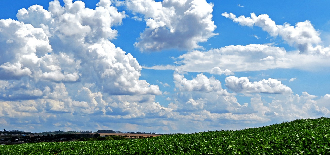 sky cloud soybeans free photo