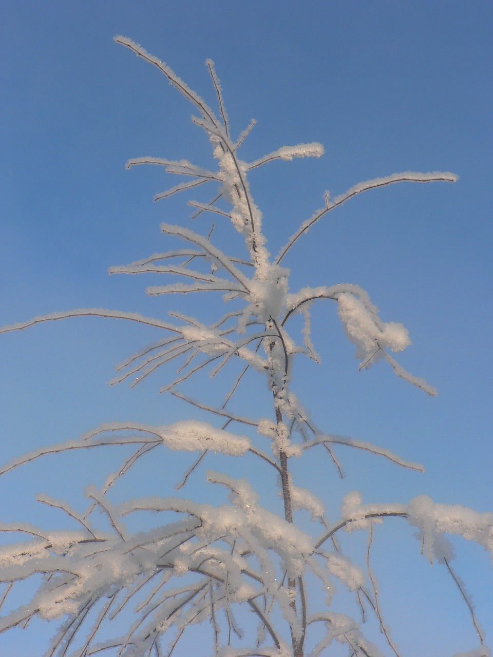 sky frost snow free photo