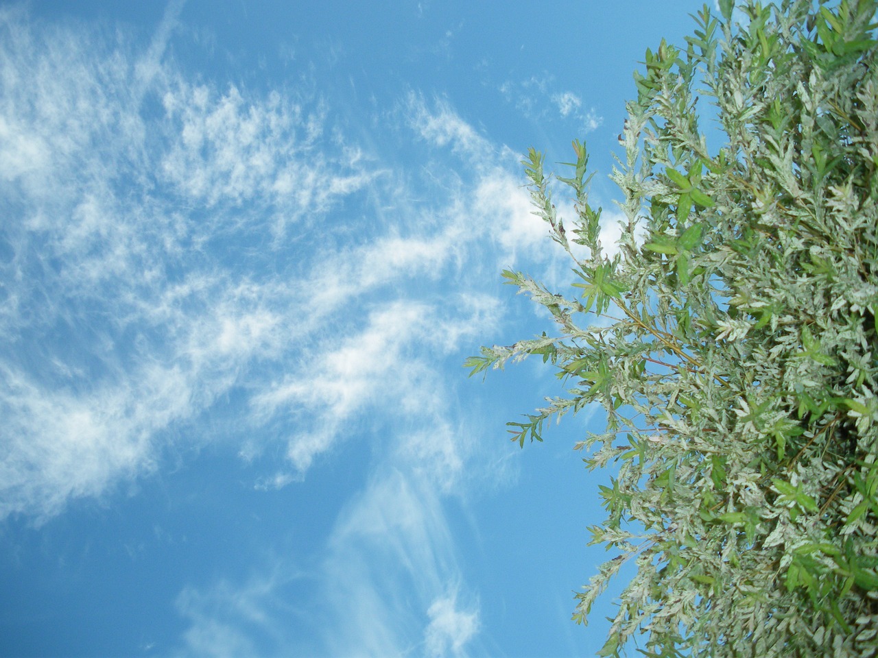 sky cloud blue free photo