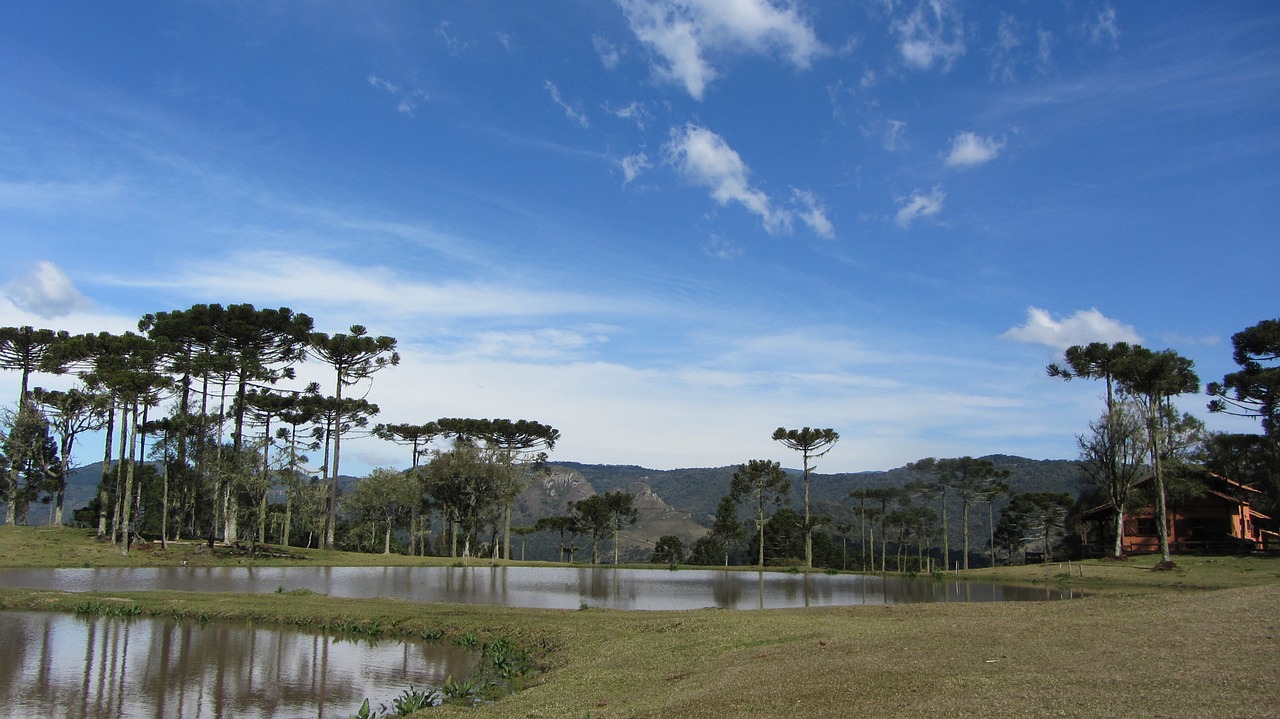 sky lake tree free photo