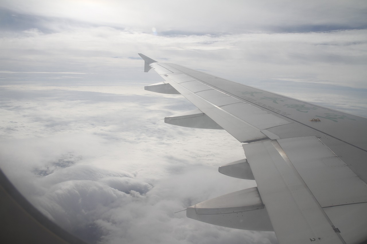 sky wing travel free photo