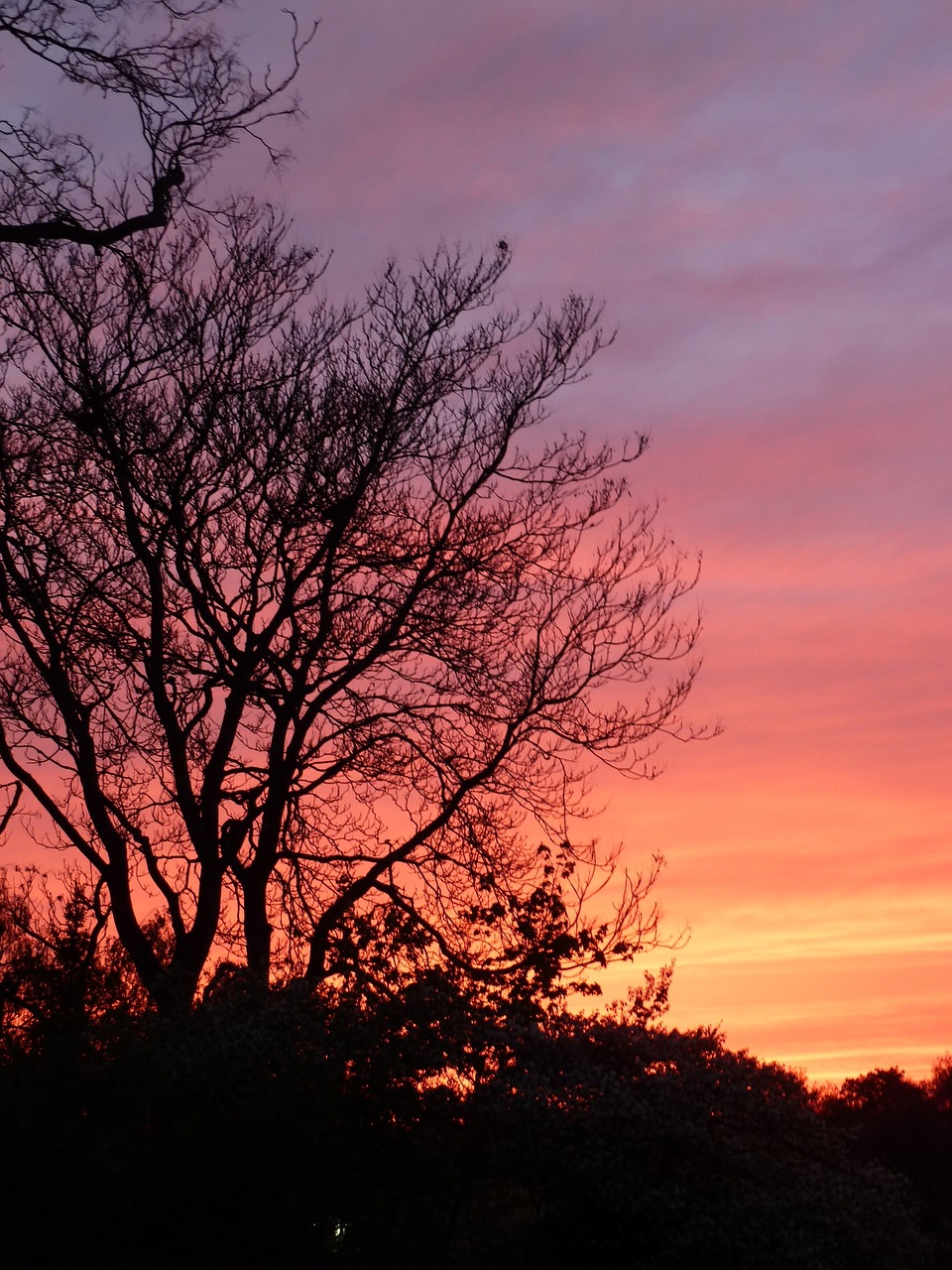 sky sunset evening free photo