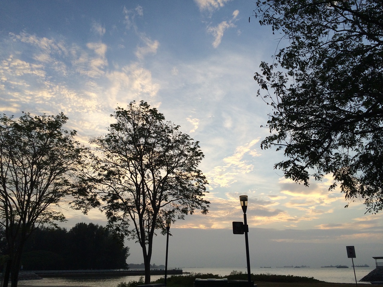 sky beach trees free photo