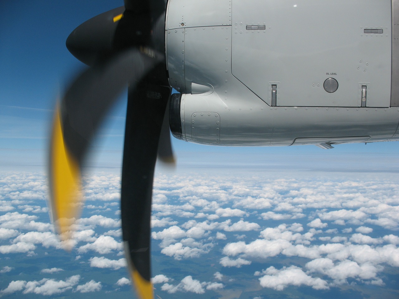 sky plane above the clouds free photo