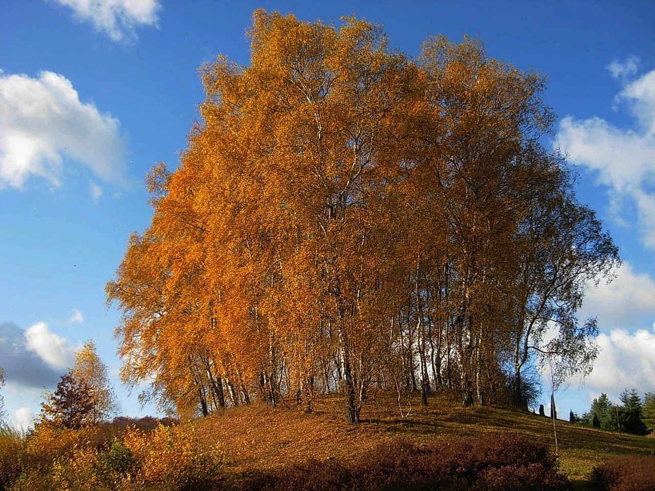 sky clouds autumn free photo