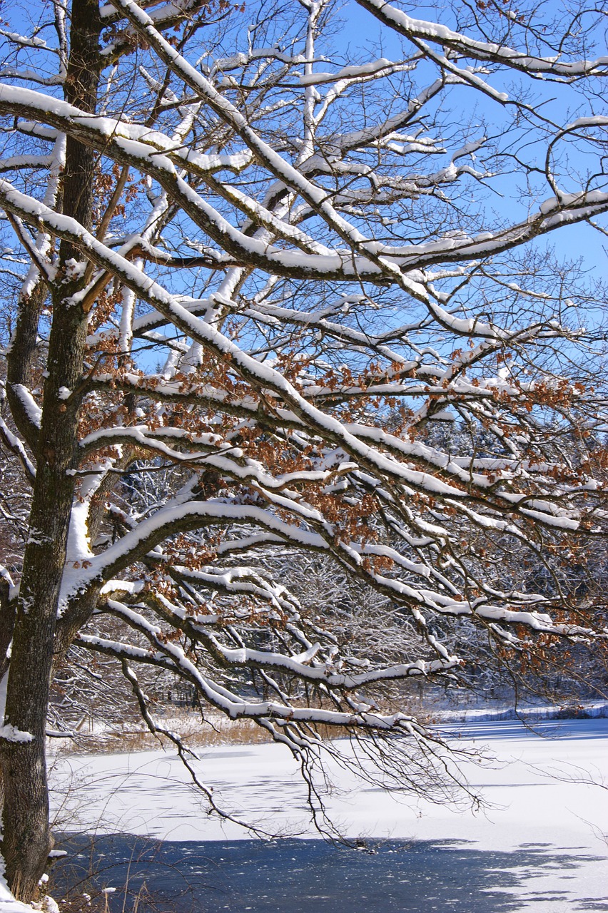 sky blue snow free photo